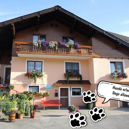 Appartement Am Hauser Kaibling Buitenkant foto