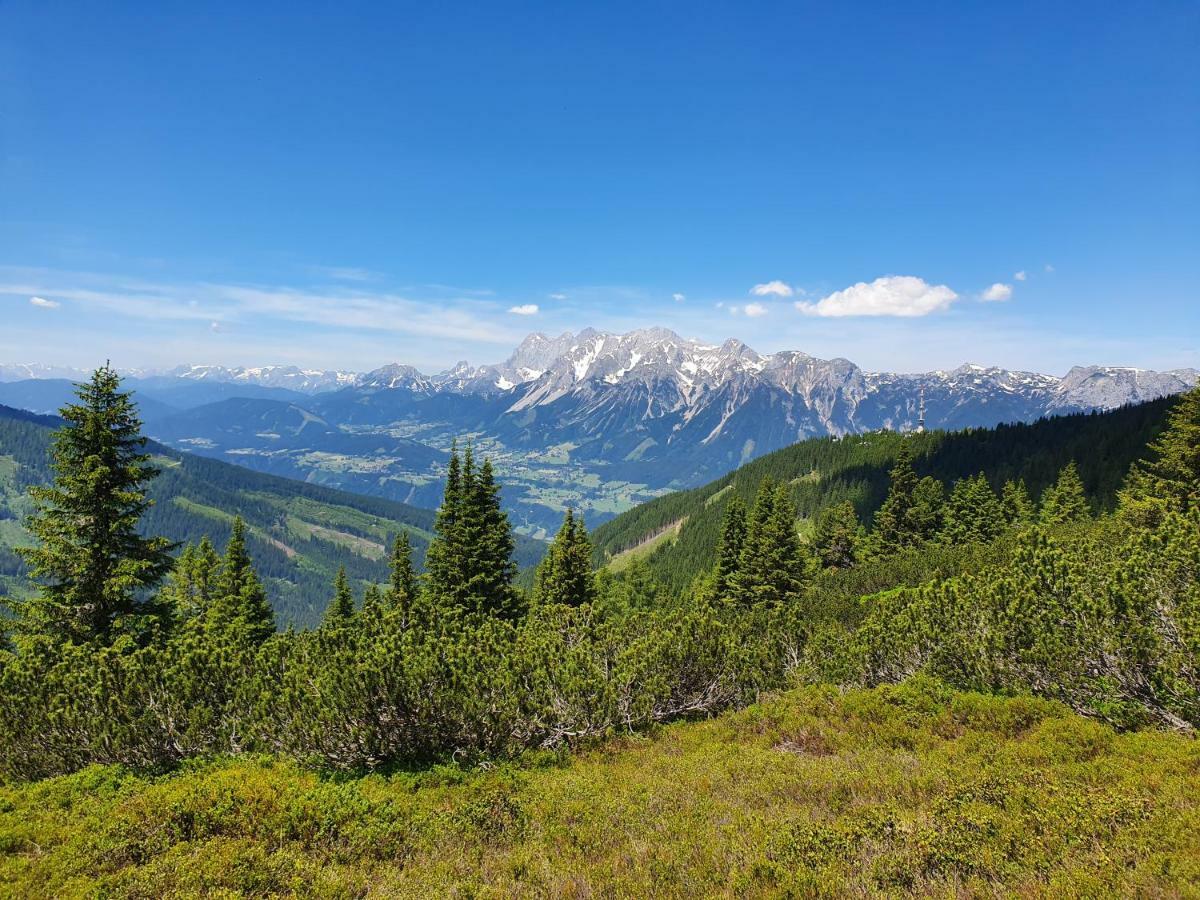 Appartement Am Hauser Kaibling Buitenkant foto